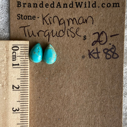 Kingman Turquoise Cabochon - KT88