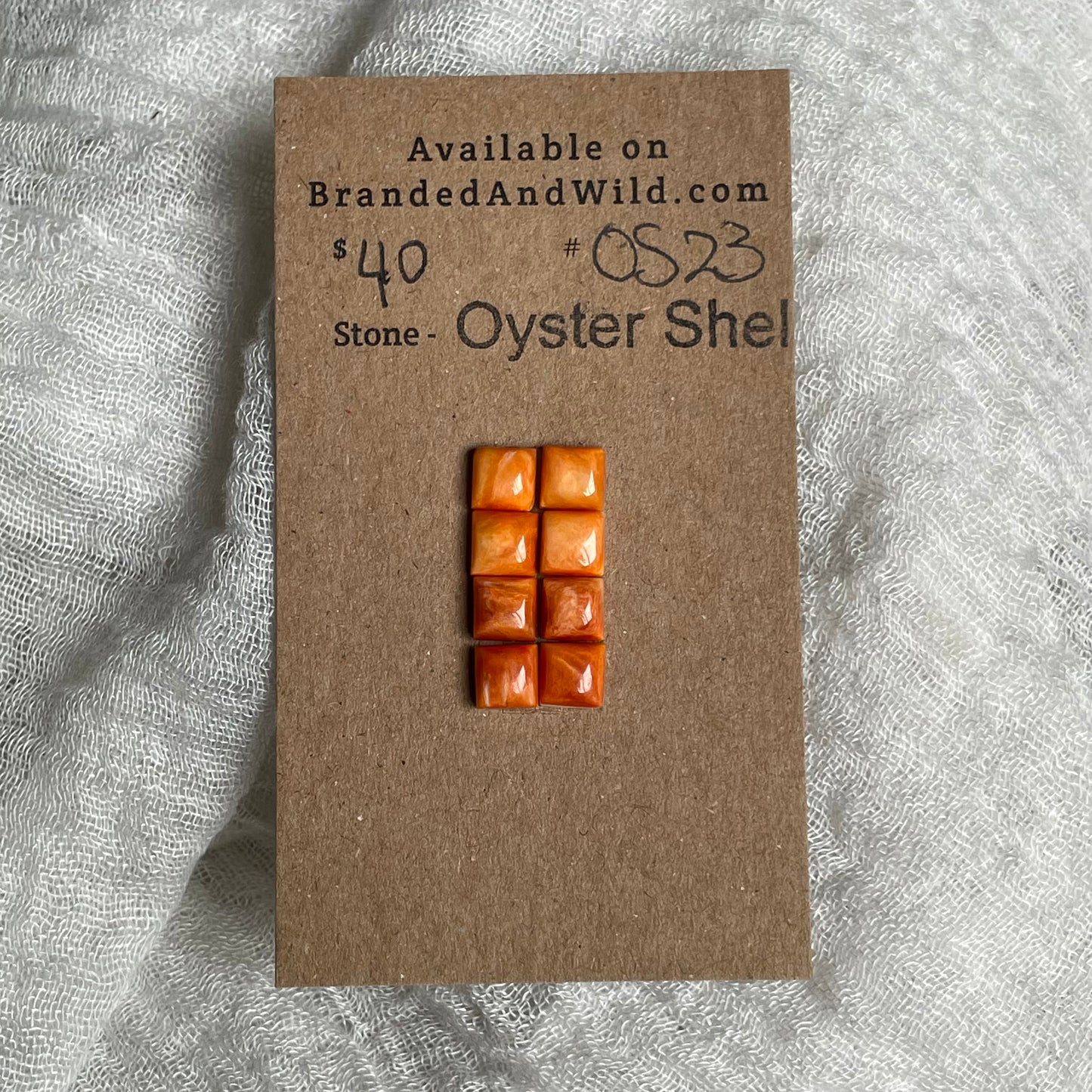 Oyster Shell Cabochon - OS23