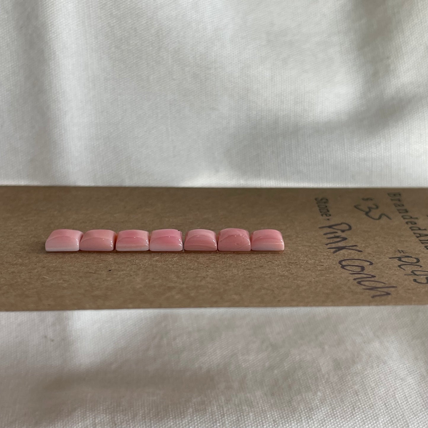Pink Conch Cabochon - PC45