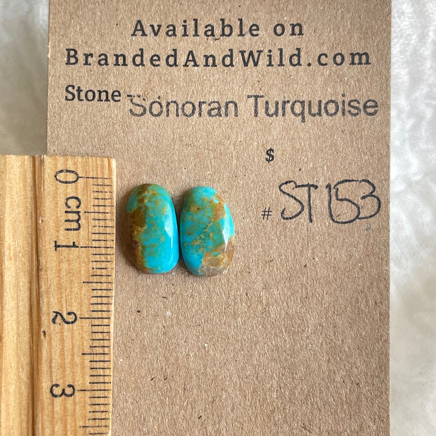 Sonoran Turquoise Cabochon - ST153 2B70F8E7-7BA5-48CE-A72B-C29055A88CD7 Brandedandwild.com
