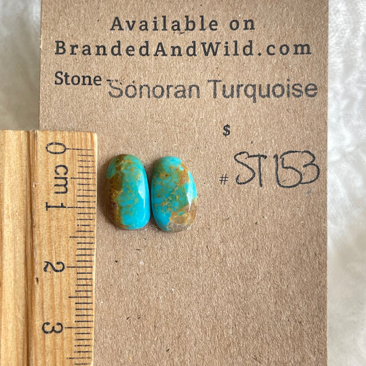Sonoran Turquoise Cabochon - ST153 2B70F8E7-7BA5-48CE-A72B-C29055A88CD7 Brandedandwild.com