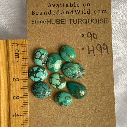 Hubei Turquoise Cabochon - H99