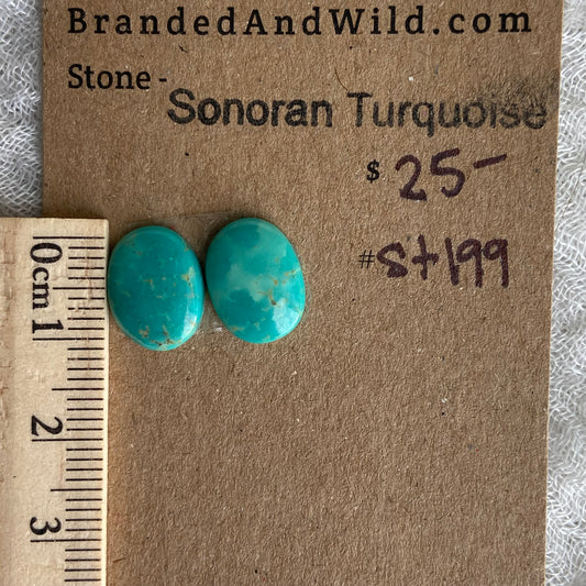 Sonoran Turquoise Cabochon - ST199