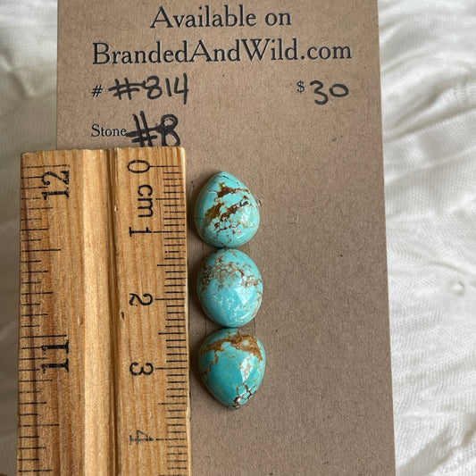 #8 Turquoise Cabochon - #814 2B9E4325-3FA5-4280-88F2-D814DFCF16C4 Brandedandwild.com