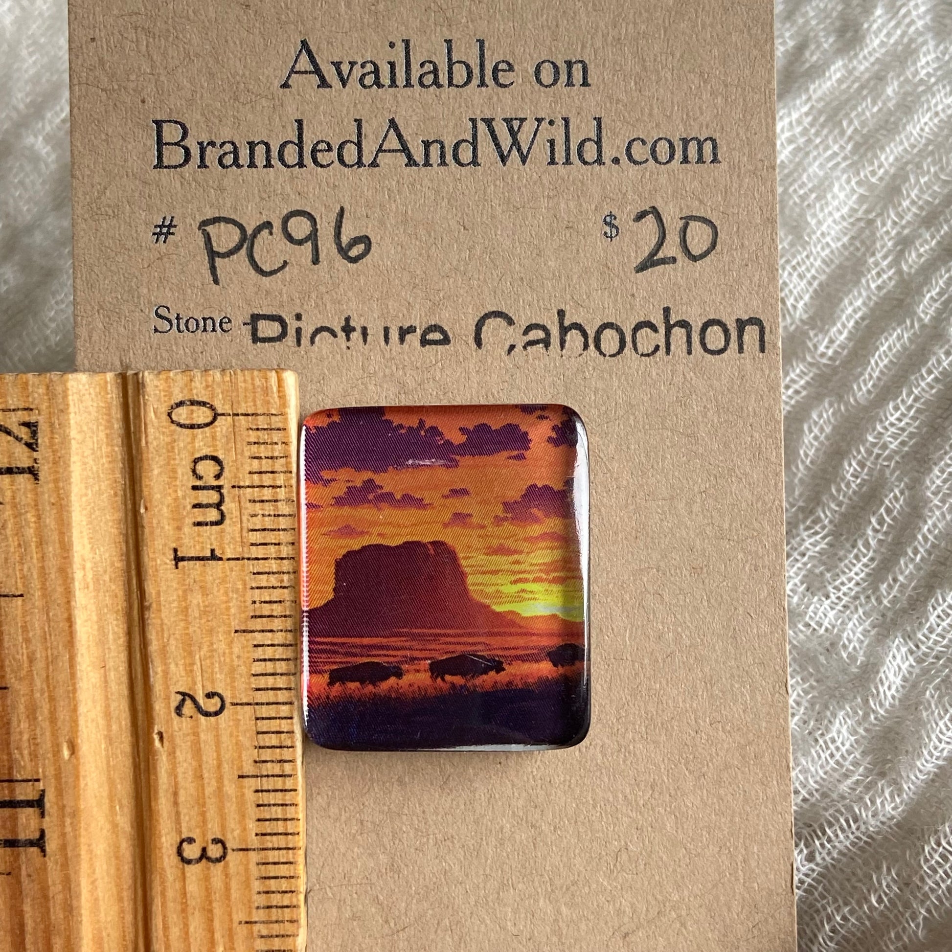 Picture Cabochon - Cabochon - PC96 2BA3BE4C-35AA-49B5-831F-75618C55693E Brandedandwild.com
