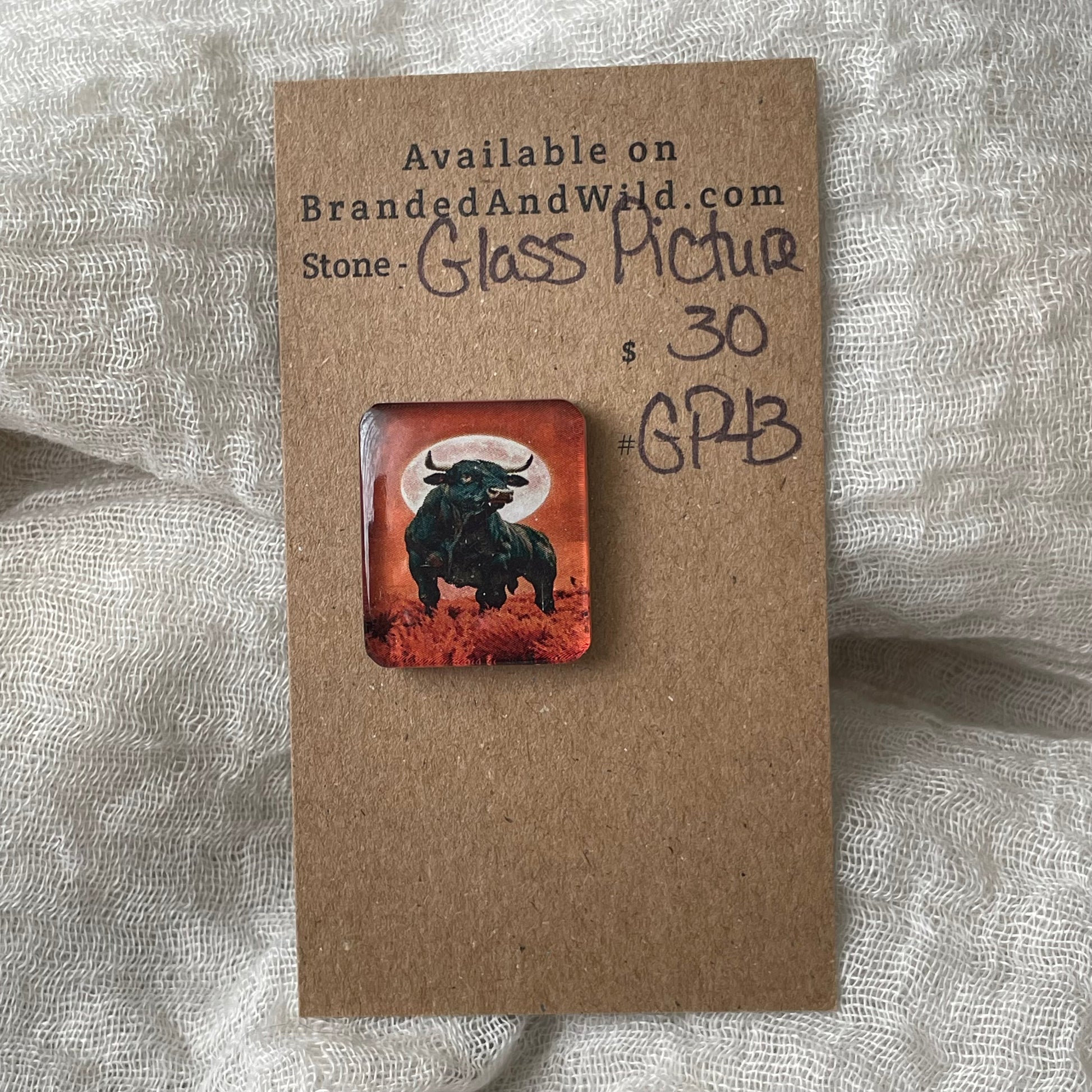 Glass Picture - Cabochon - GP43 2BAD6946-2EB4-478A-B148-51AA886951A3 Brandedandwild.com