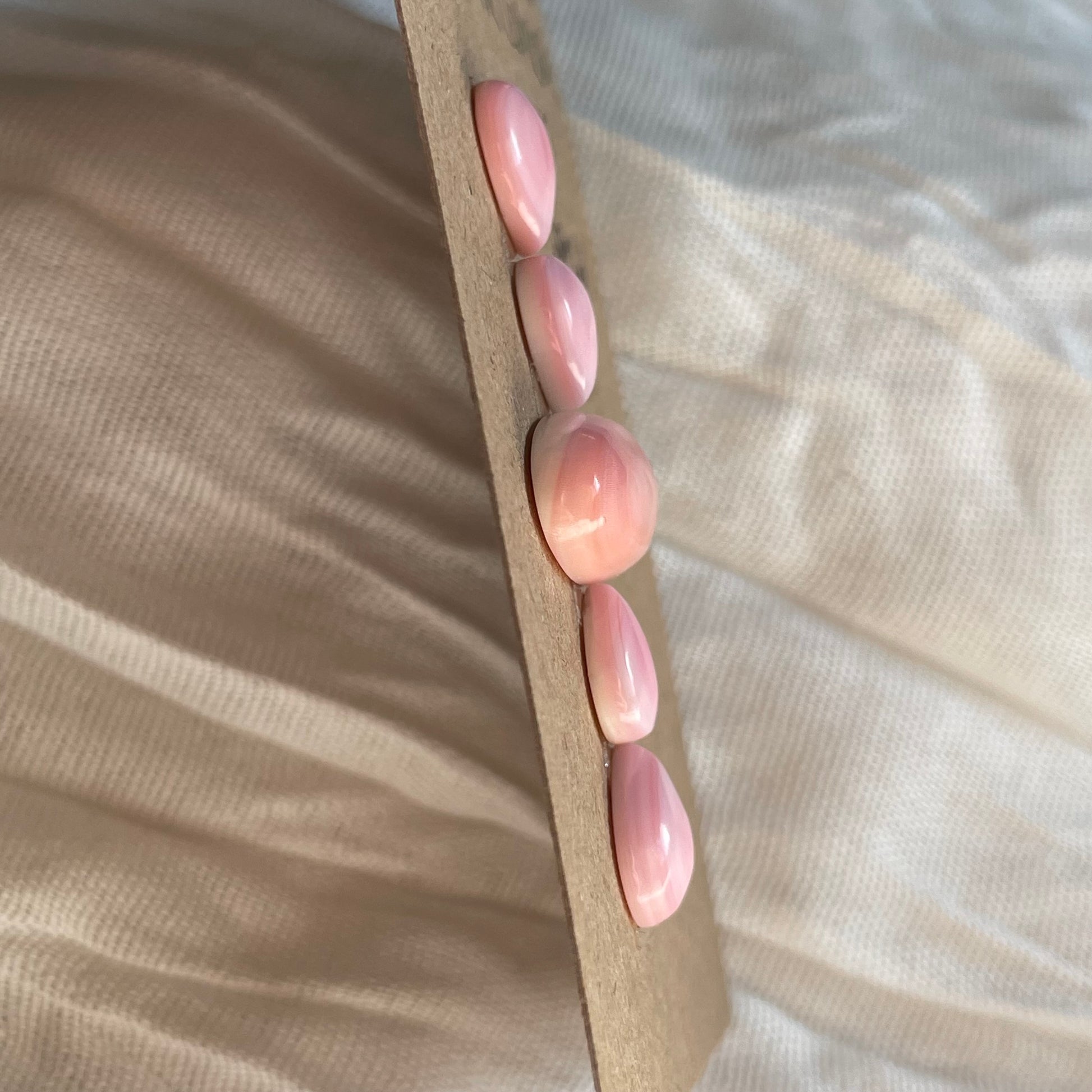 Pink Conch Cabochon - PC61 2BBACC9F-BEE1-47B2-AB24-3F7B21BD2973 Brandedandwild.com