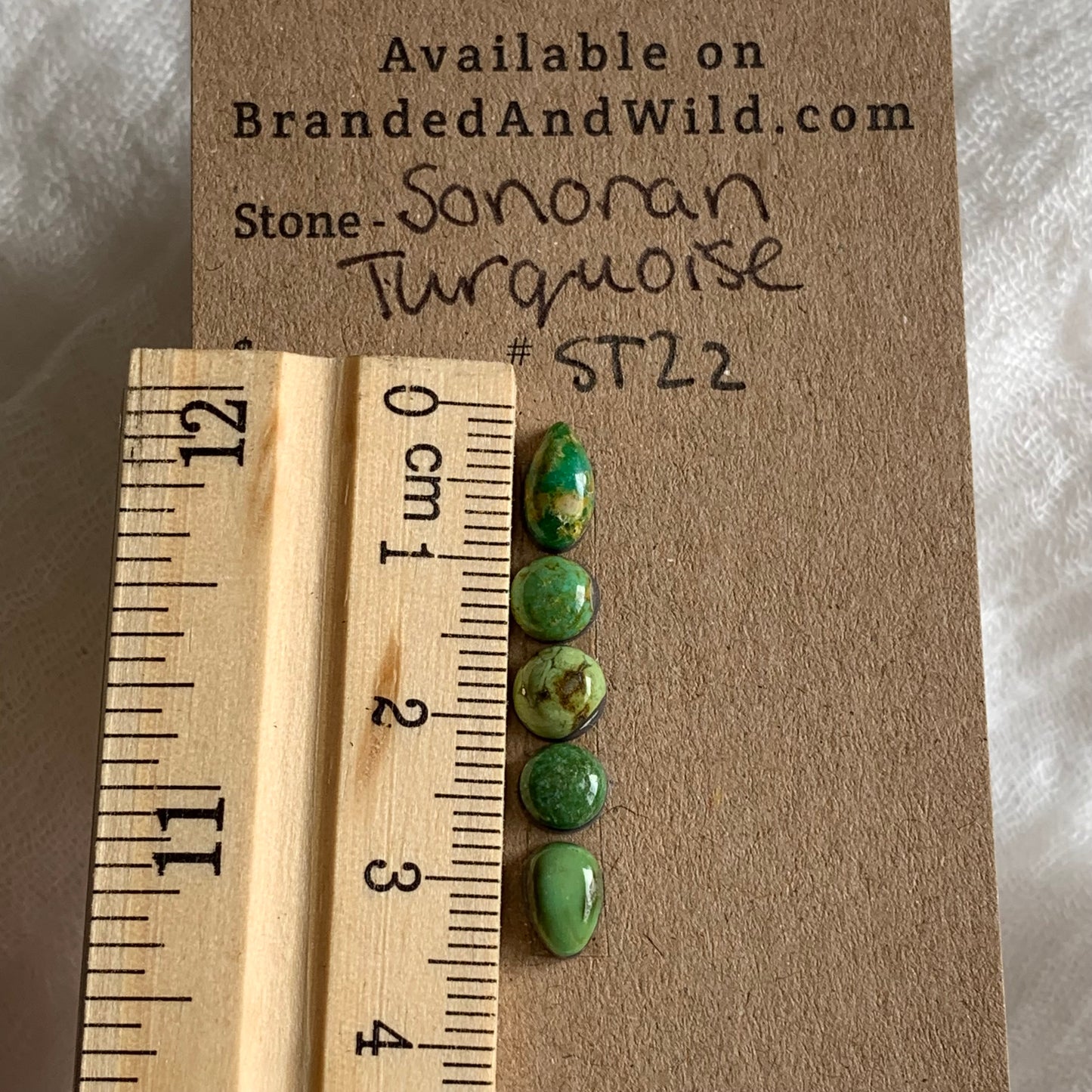 Sonoran Turquoise Cabochon - ST22