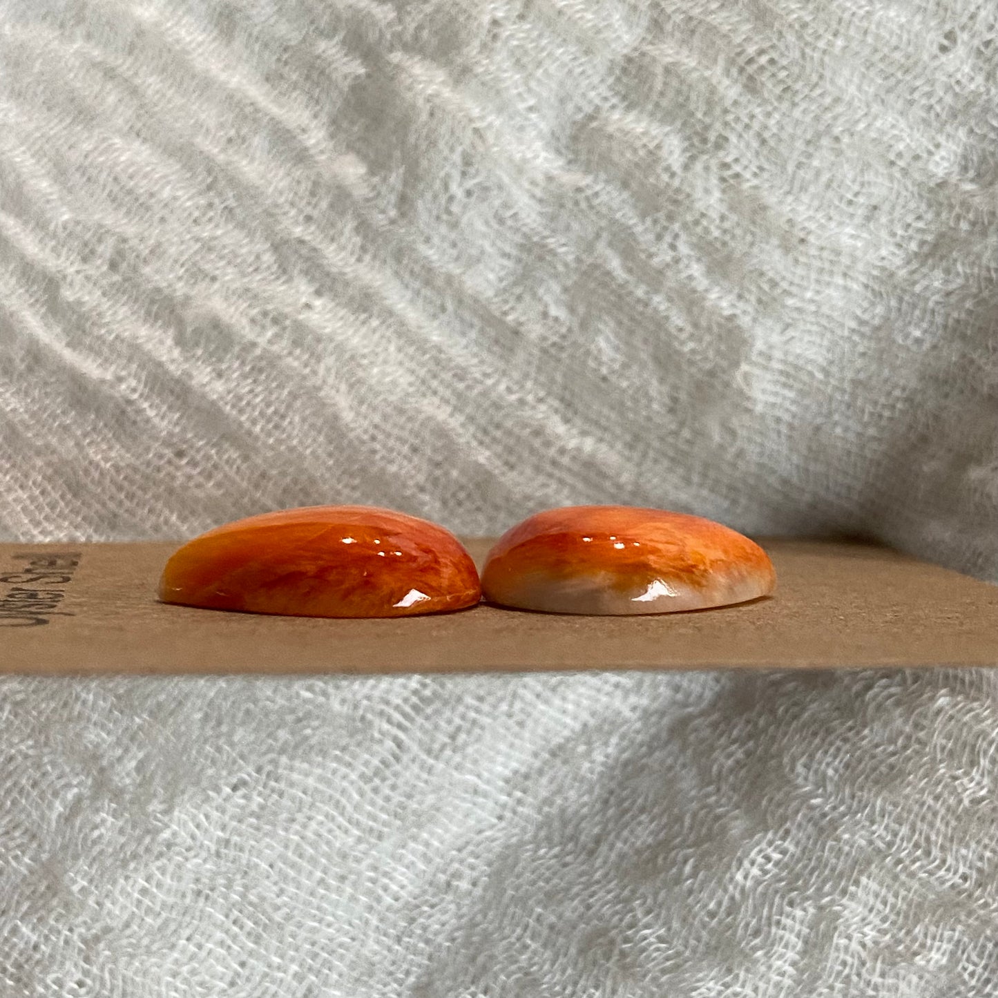 Oyster Shell Cabochon - OS49