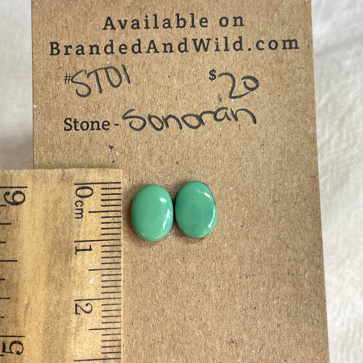 Sonoran Turquoise Cabochon - ST01 2C12A722-6E08-4A74-9F0C-54852D37CAB6 Brandedandwild.com