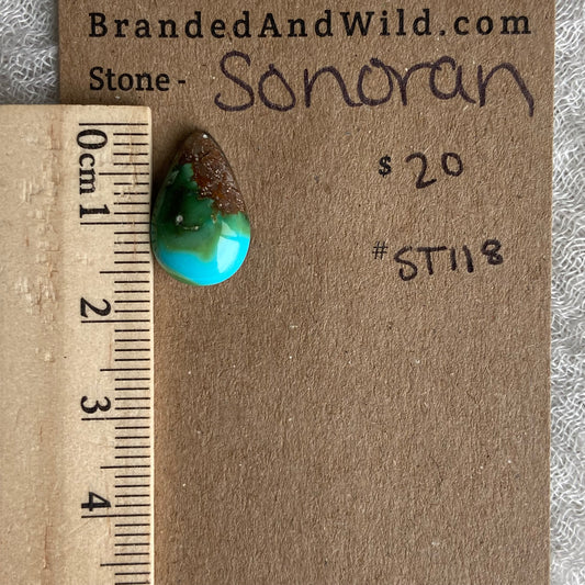 Sonoran Turquoise Cabochon - ST118