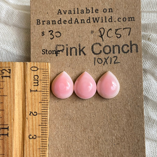 Pink Conch Cabochon - PC57 2C57055B-BB83-4172-829A-2735CBEB8577 Brandedandwild.com