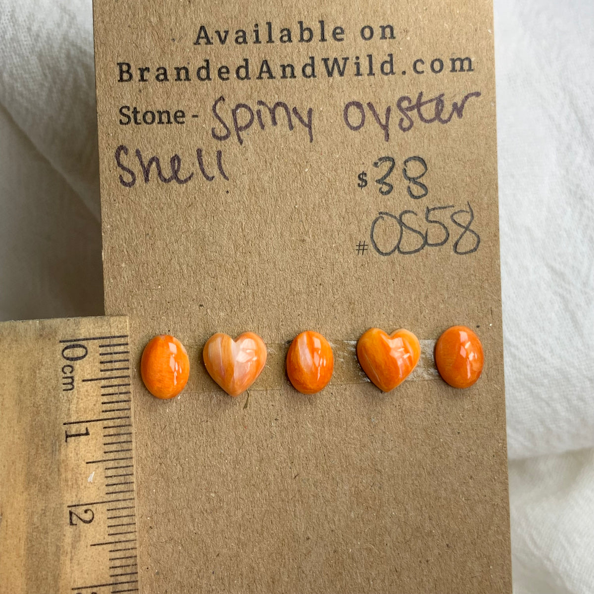 Spiny Oyster Shell Cabochon - OS58 2C73A5DB-0D95-4AA7-848A-B66D8EE24DE0 Brandedandwild.com