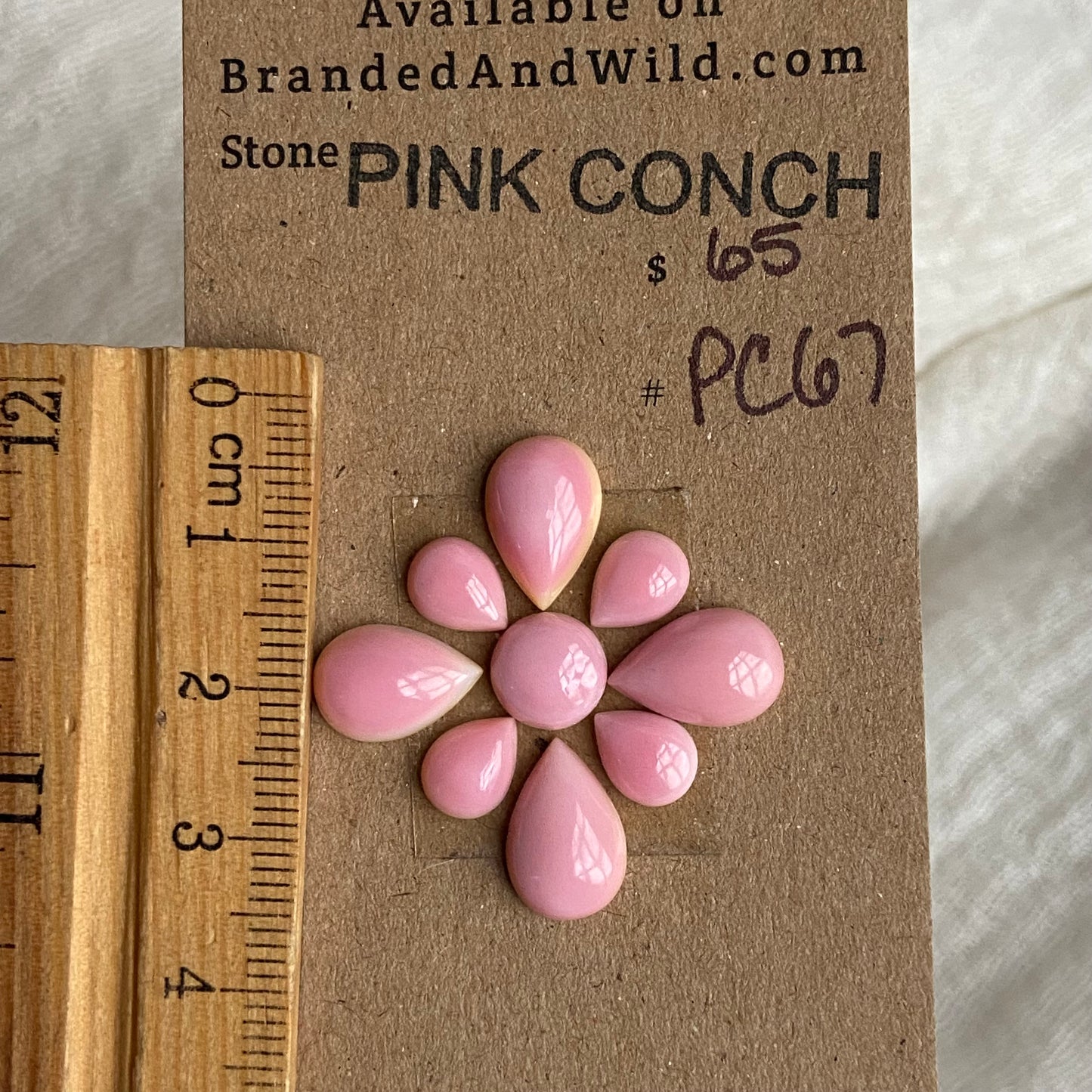 Pink Conch Cabochon - PC67