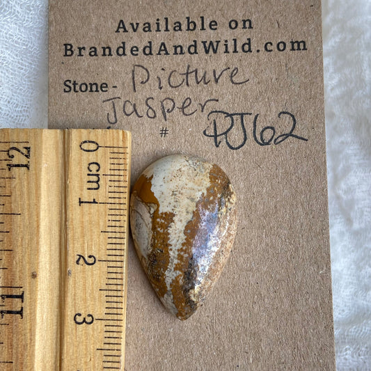 Picture Jasper Cabochon - PJ62