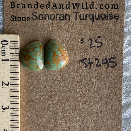 Sonoran Turquoise Cabochon - ST245