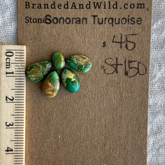 Sonoran Turquoise Cabochon - ST150