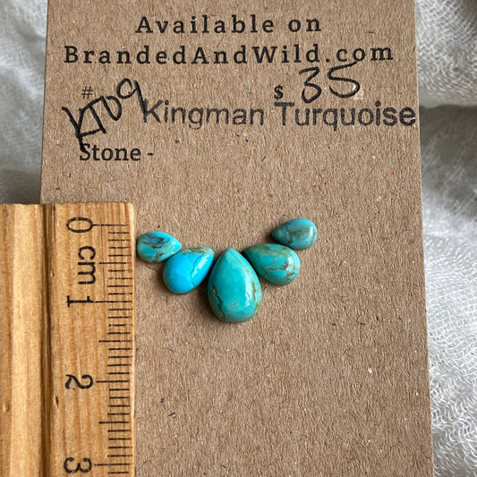 Kingman Turquoise Cabochon - KT09 2CA99BE1-0B86-4284-9FB2-ACD9F4238330 Brandedandwild.com