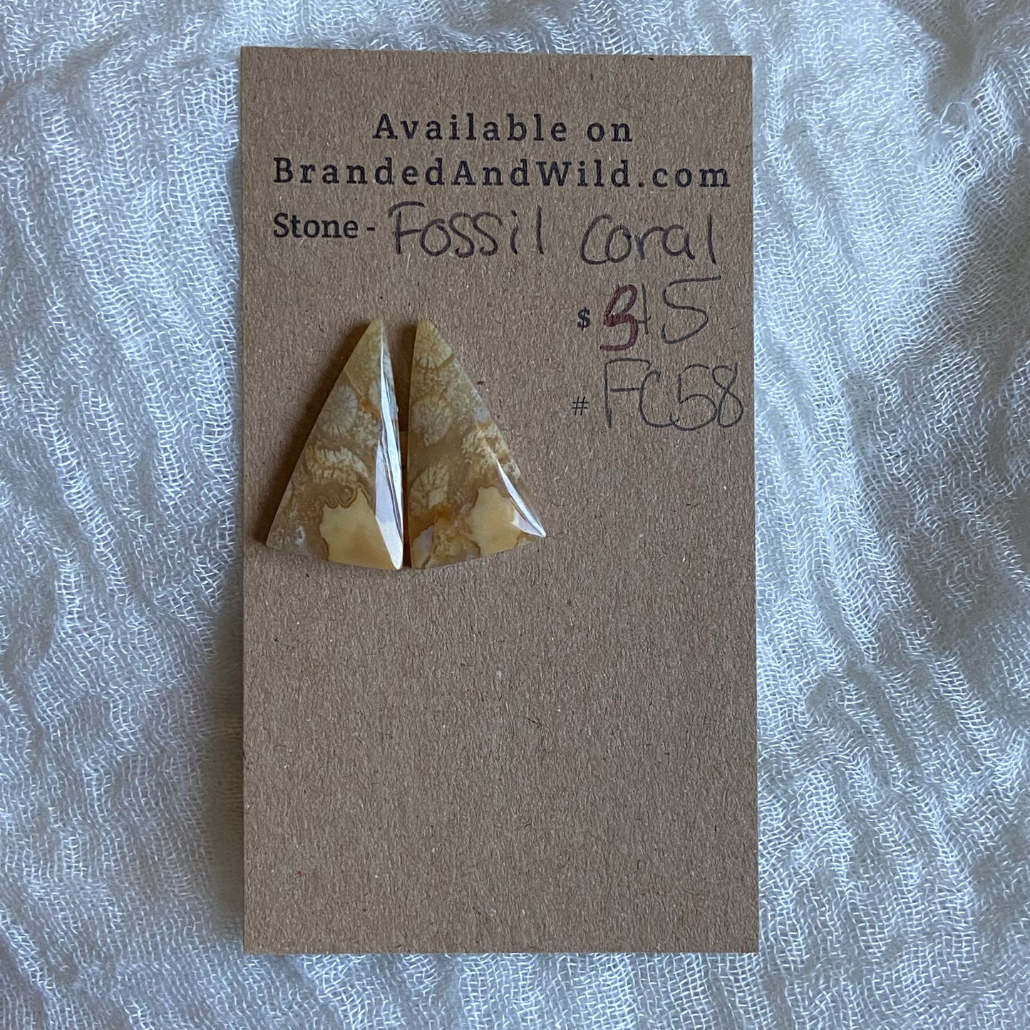 Fossil Coral Cabochon - FC58