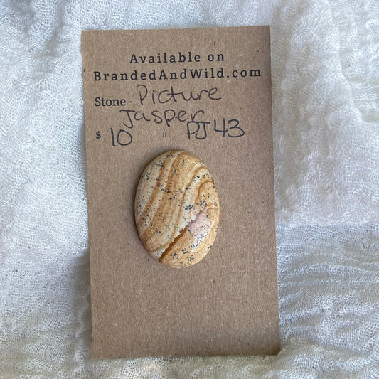 Picture Jasper Cabochon - PJ43