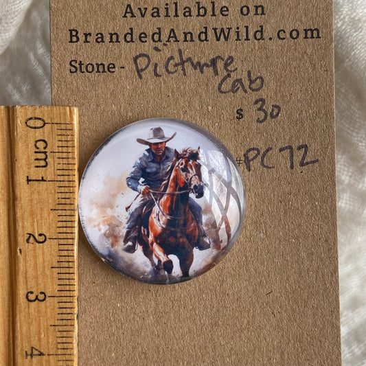Picture Cabochon - Cabochon - PC72 2D08EAD8-0E9F-4D3A-ABD0-1FFC9EB33DC7 Brandedandwild.com