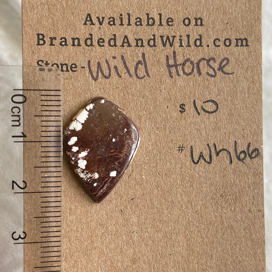 Wild Horse Cabochon - Wh66 2D092903-73D6-476A-A0FF-933451D7CB6A Brandedandwild.com