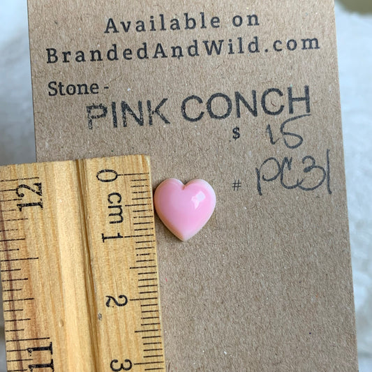 Pink Conch Cabochon - PC31