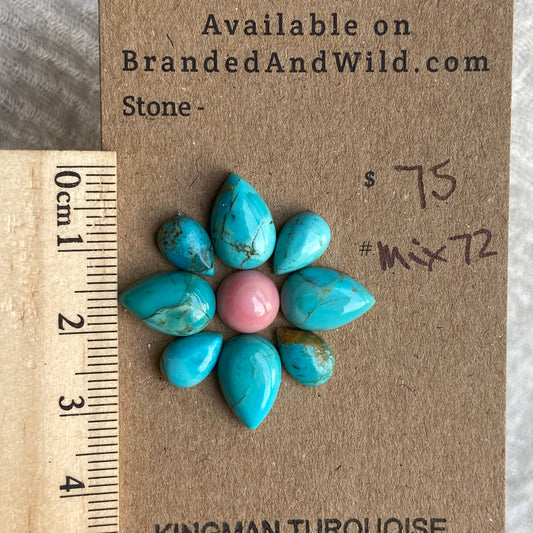 Pink Conch - Kingman Turquoise Cabochon - MIX72