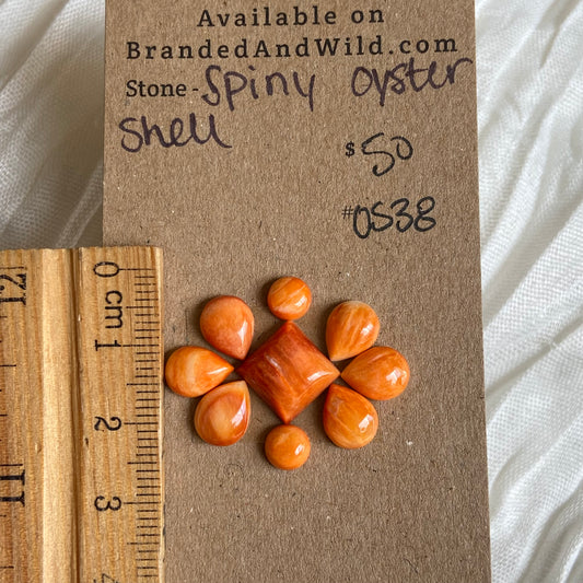 Oystershell Cabochon - OS38 2D43FD5A-43AD-4781-BB7C-EF2A48F693FD Brandedandwild.com