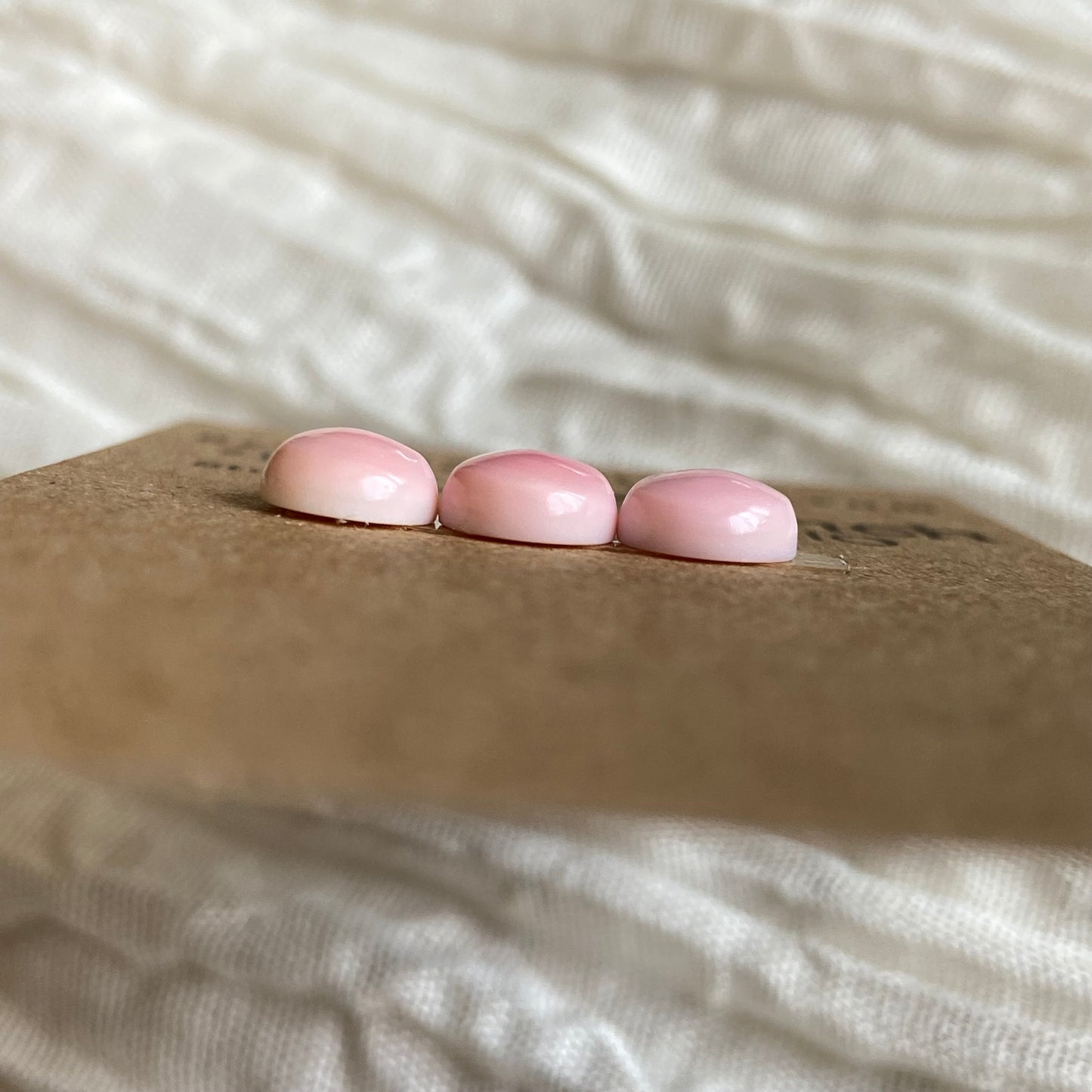 Pink Conch Cabochon - PC87