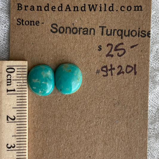 Sonoran Turquoise Cabochon - ST201