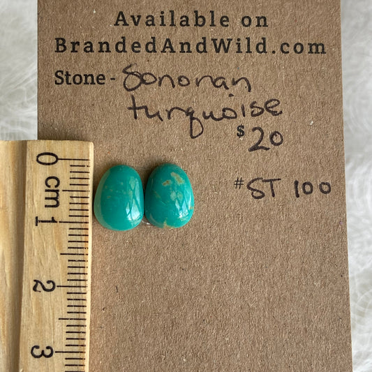 Sonoran Turquoise Cabochon - ST10