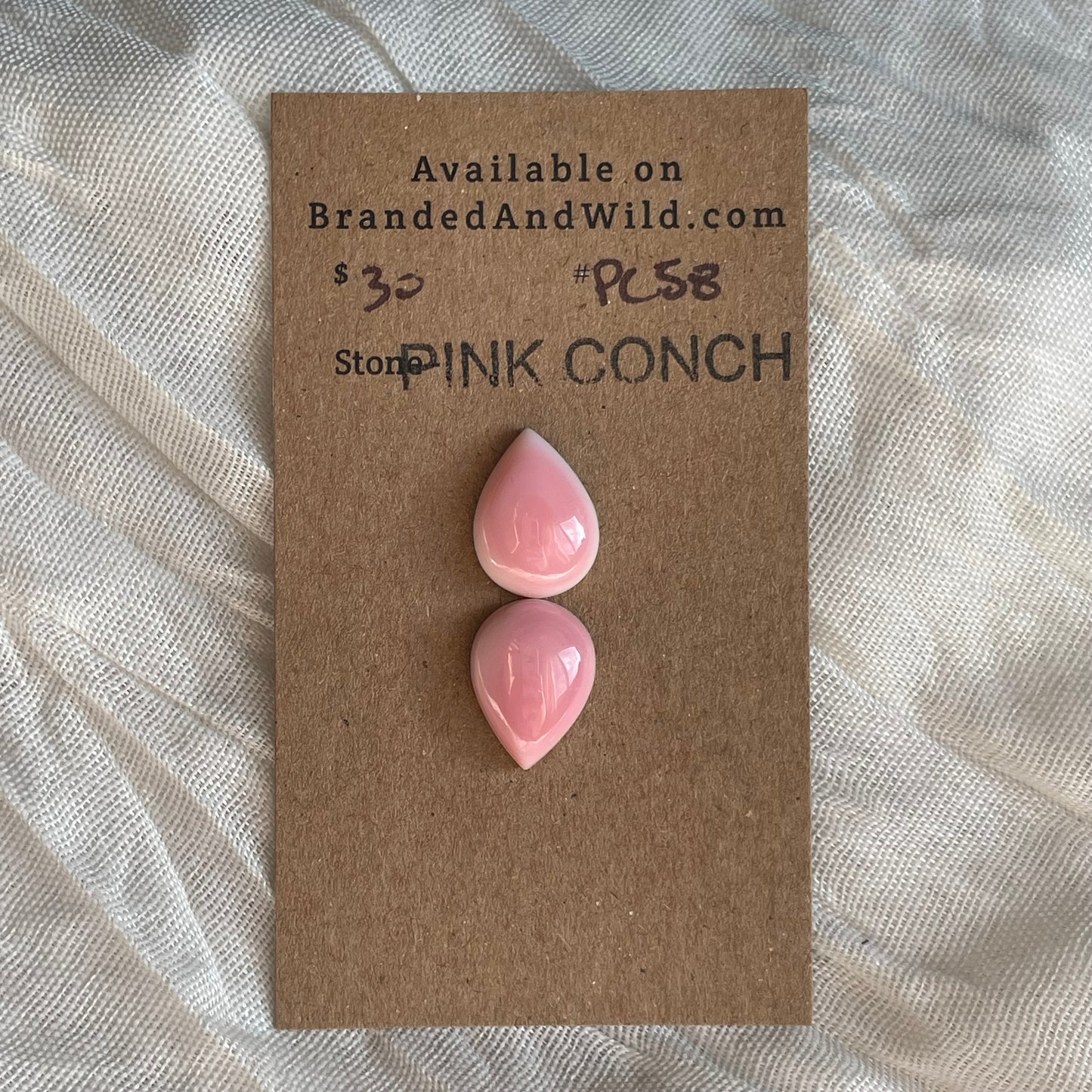 Pink Conch Cabochon - PC58 2D8FA715-7ECA-4AE6-8BFD-80CC79F26729 Brandedandwild.com