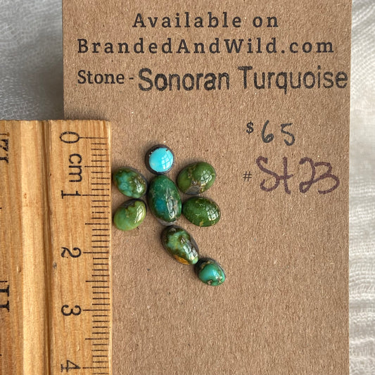 Sonoran Turquoise Cabochon - ST23