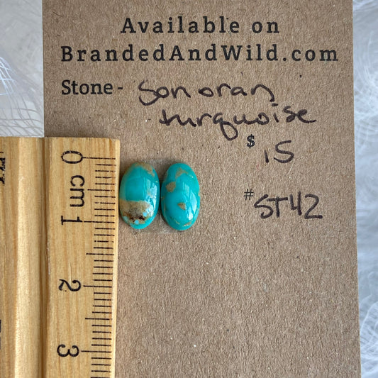 Sonoran Turquoise Cabochon - ST42