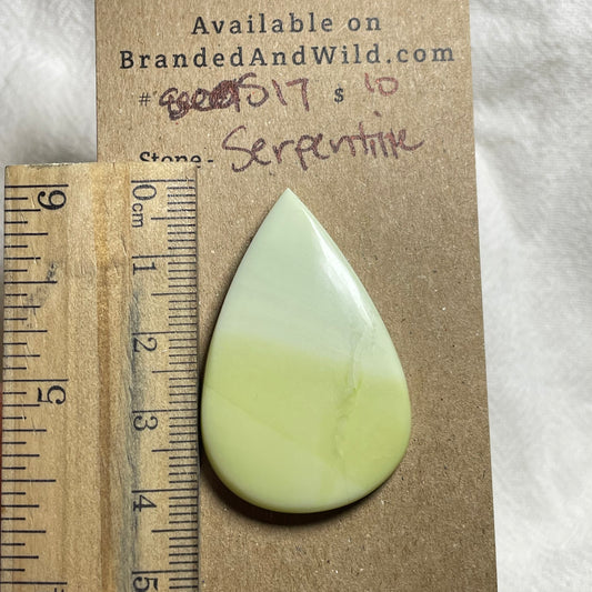 Serpentine - Cabochon - S17 2DD4BBAE-40EB-42E2-95FB-843F0F1BED15 Brandedandwild.com