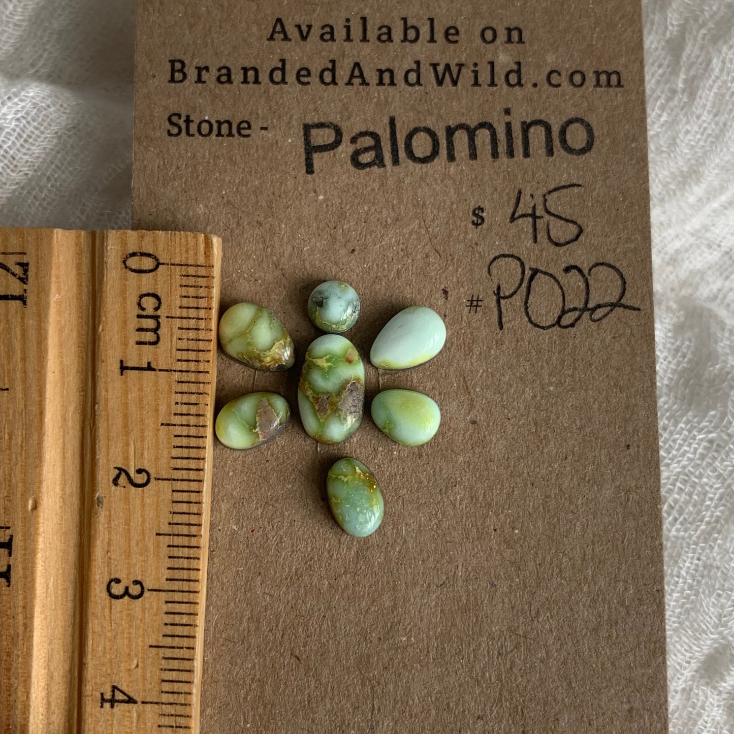 Palomino Cabochon - P022