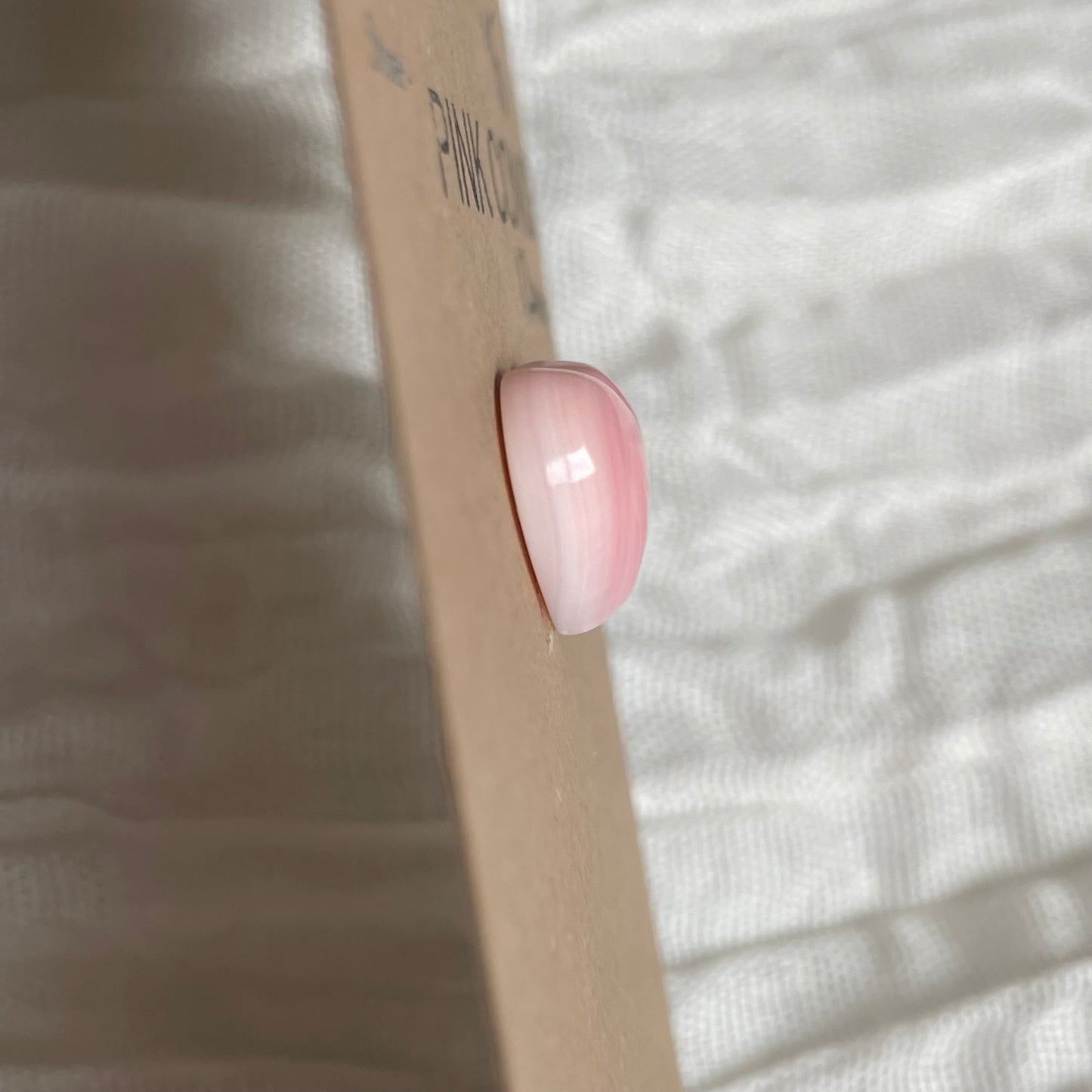 Pink Conch Cabochon - PC08 2DE811E4-61DC-4BD0-92B7-6B7D3A302C5B Brandedandwild.com