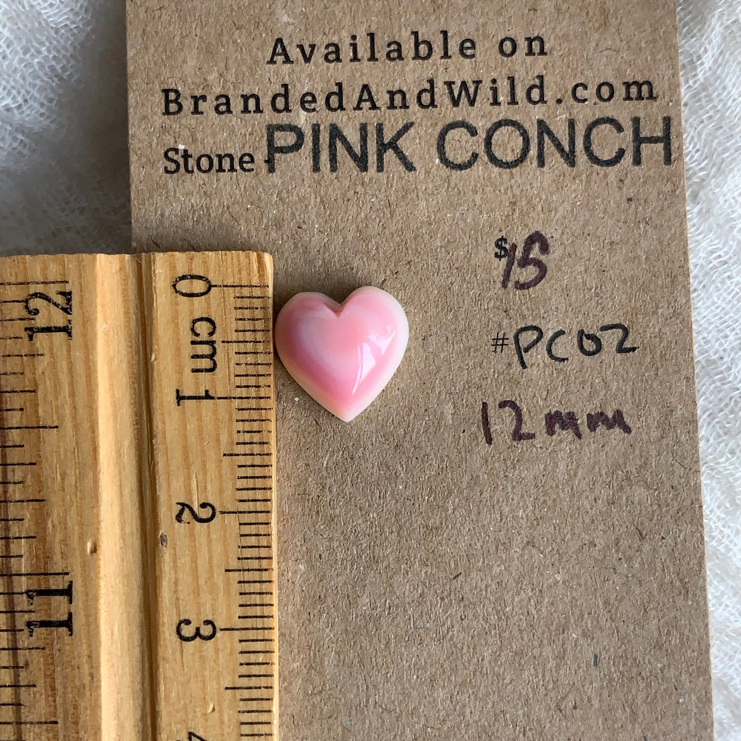 Pink Conch Cabochon - PC02