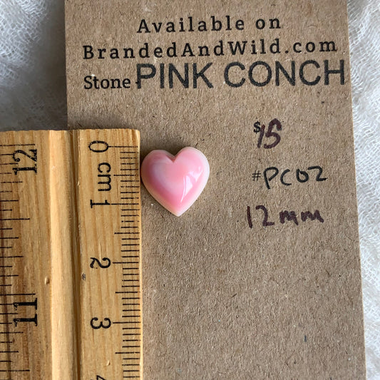Pink Conch Cabochon - PC02