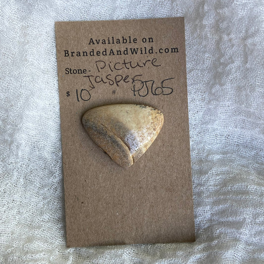 Picture Jasper Cabochon - PJ65