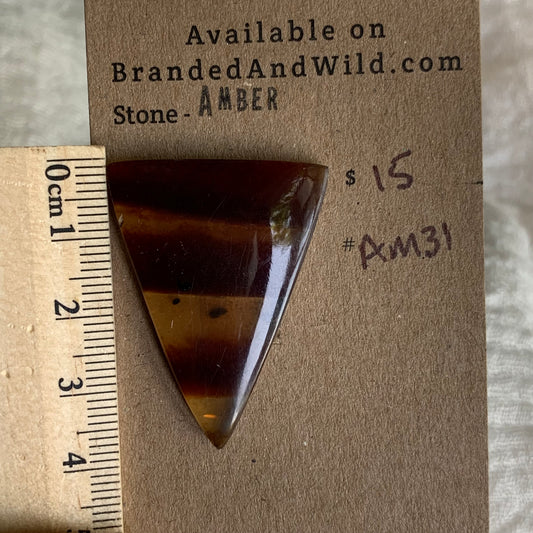 Amber Cabochon AM31