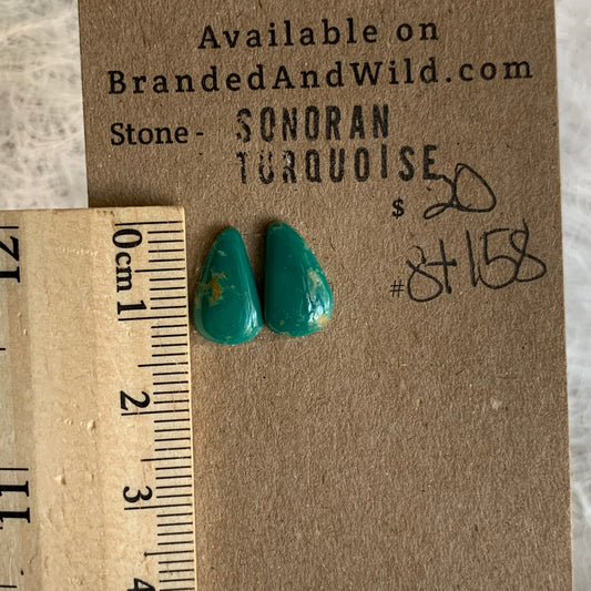 Sonoran Turquoise Cabochon - ST158