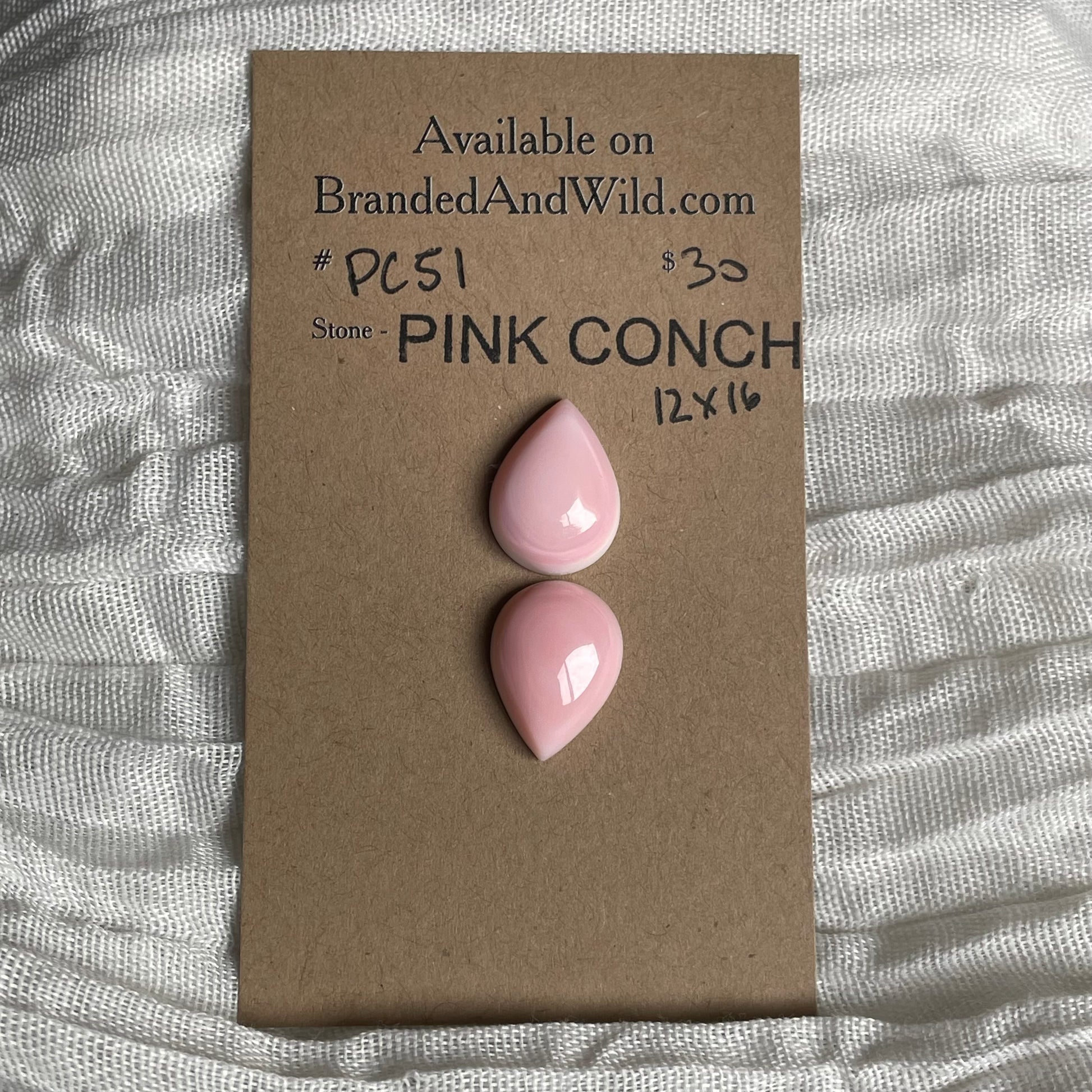 Pink Conch Cabochon - PC51 2E353A36-D701-4796-BA99-1D01740AD58D Brandedandwild.com