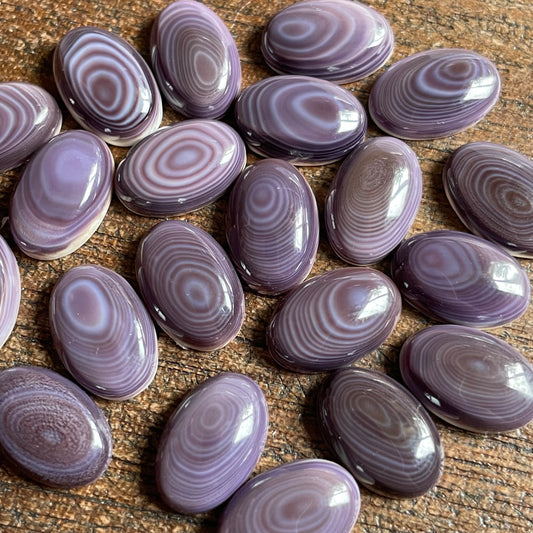 Purple Wampum Quahog Shell 8x12mm 2E6509B6-88A3-45EE-A1F7-F868131AD1C1 Brandedandwild.com