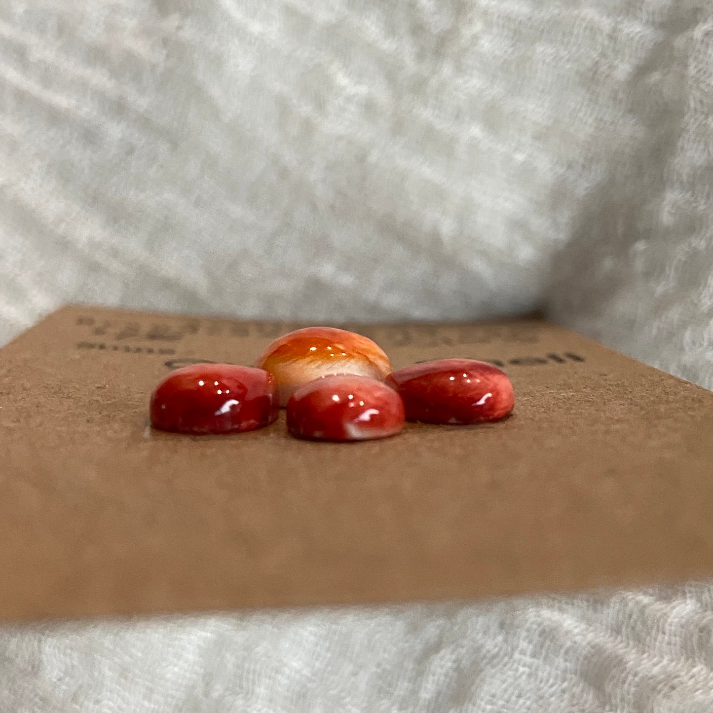 Oyster Shell Cabochon - OS103