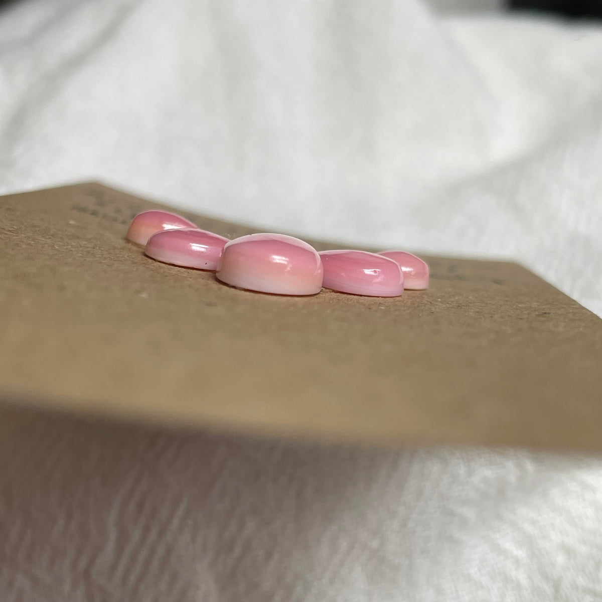 Pink Conch Cabochon - PC47 2EB1AC8D-0B87-4E57-AF56-A049DED01E98 Brandedandwild.com