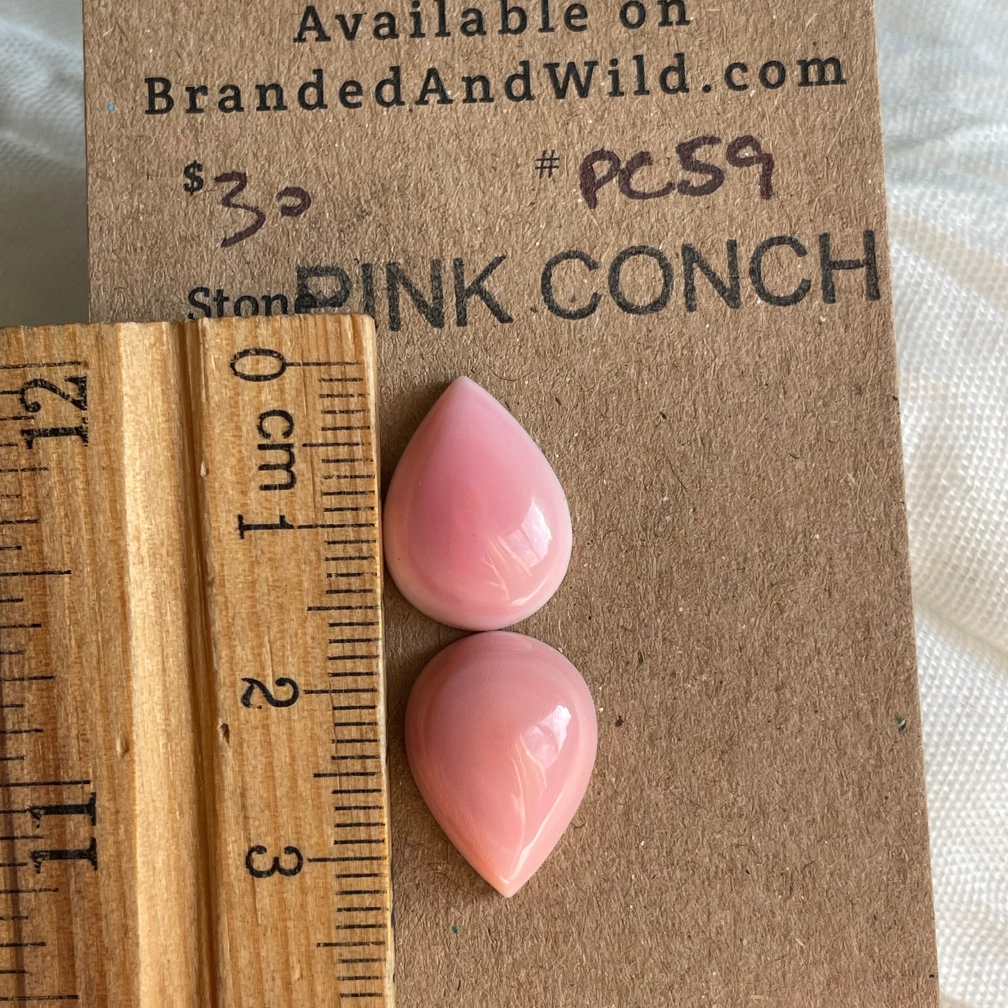 Pink Conch Cabochon - PC59 2EC250EB-3B89-432B-8DB1-7537B4E030B9 Brandedandwild.com