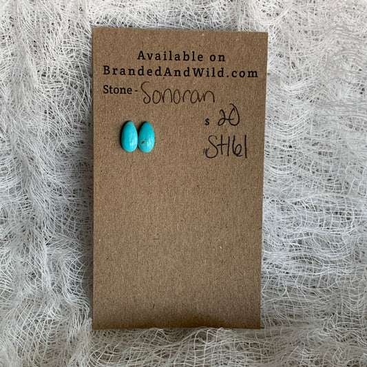 Sonoran Turquoise Cabochon - ST161