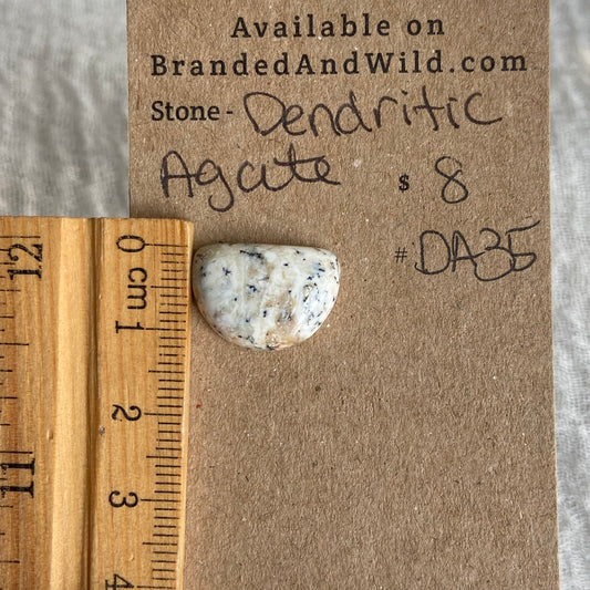 Dendritic Agate Cabochon - DA35